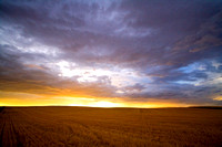 Petersboro Sunset over Wheat